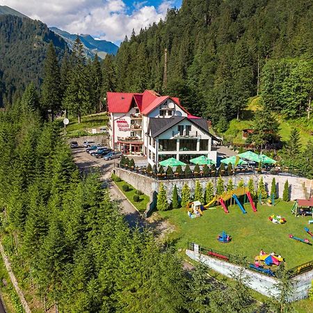 Piscul Negru Hotel - Transfagarasan Cumpăna Exterior photo