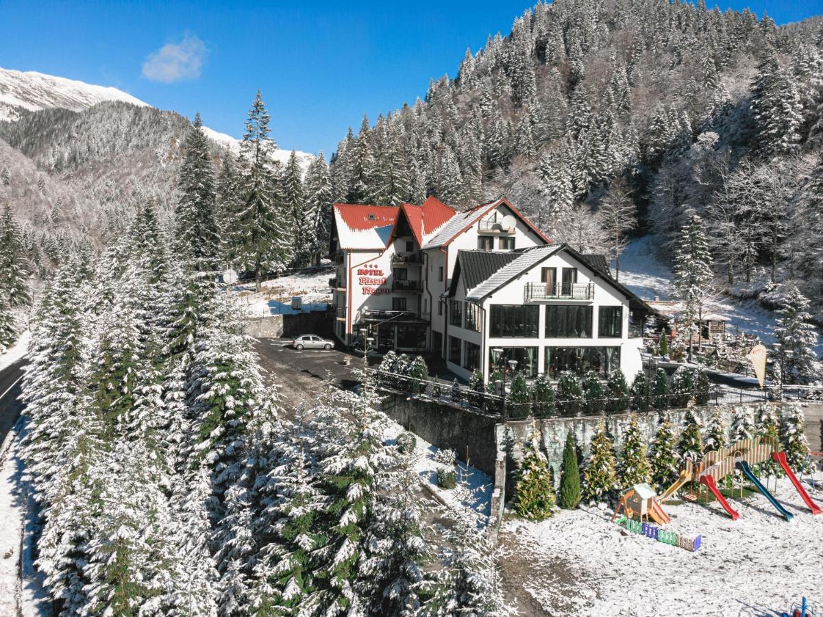 Piscul Negru Hotel - Transfagarasan Cumpăna Exterior photo