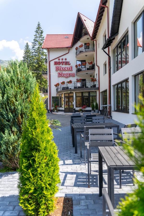 Piscul Negru Hotel - Transfagarasan Cumpăna Exterior photo